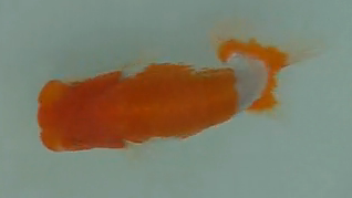 14.siOy14ȁz@u.png