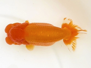 N_W08�e_������_���� �N��.jpg