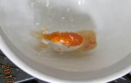 e@.JPG