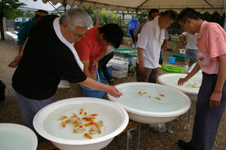 IMGP7535.JPG