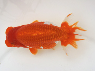 W01��_�����_�V�� �_�V.jpg