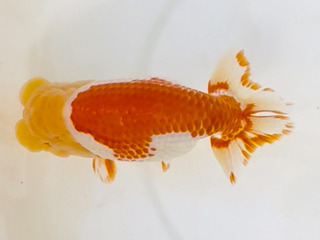 W01�e_�����_���� �N��.jpg