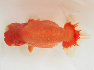 W03�e_���s�i_�V�� �_�V.jpg