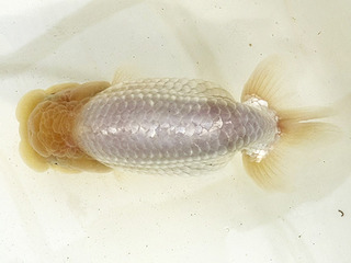 W04�e_�����_���� �N��.jpg