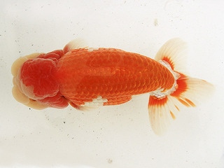 W06��_���֘e_���� �N��.jpg