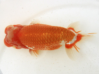 W11��_���i����_���� �N��.jpg