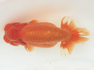 W13��_�s�i��_���� �N��.jpg