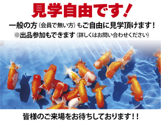 sayamashi_shiji.jpg